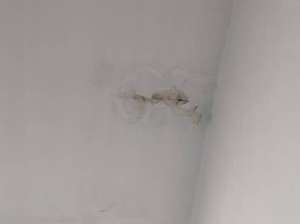 如何处理天花板漏水？专注维修和预防措施都在这里！